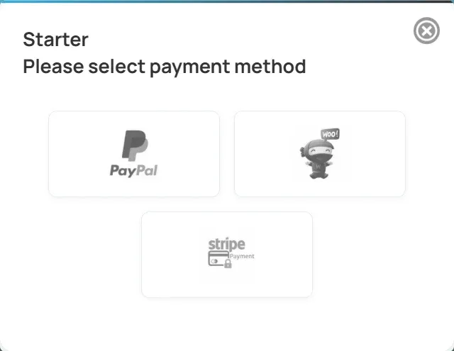 The payment popup for the Starter package, with PayPal, WooCommerce and Stripe to choose from
